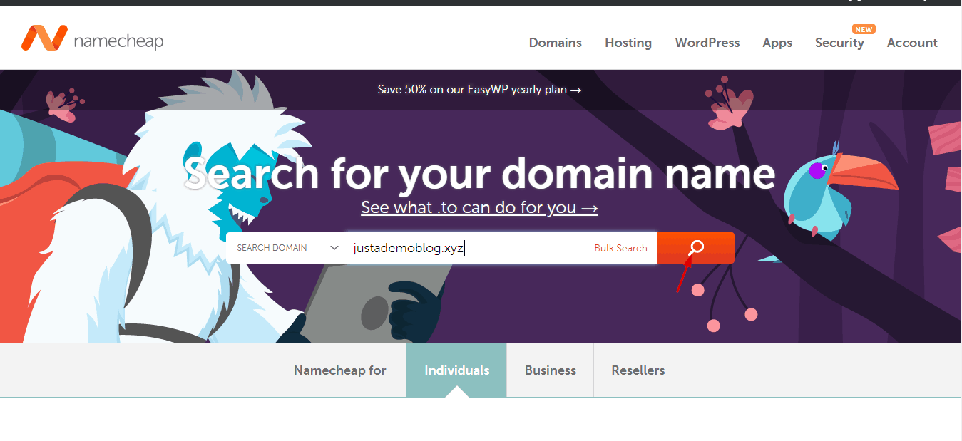 search for namecheap domain name