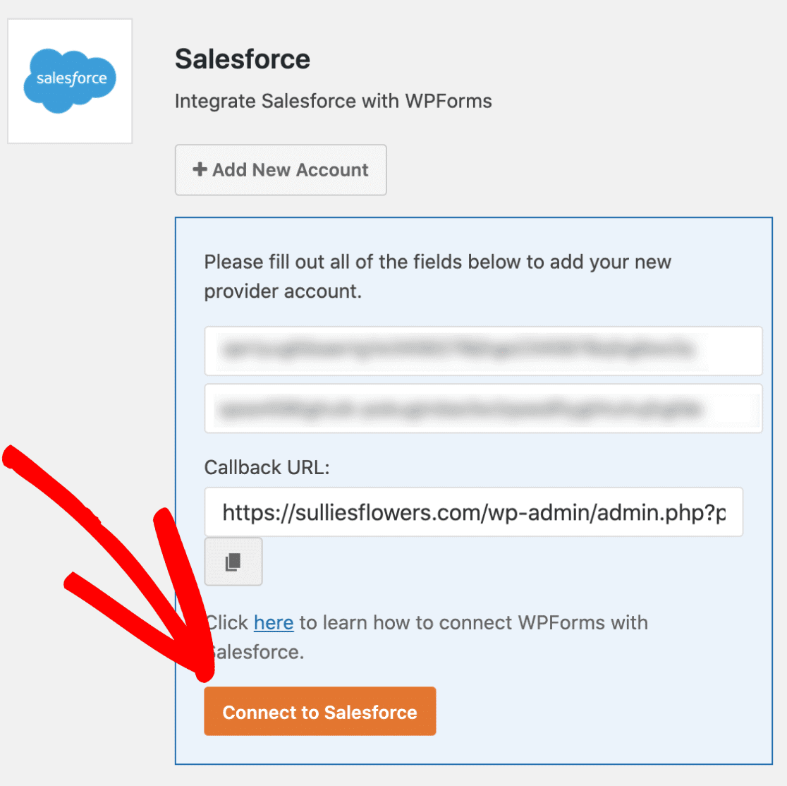 connect to salesforce